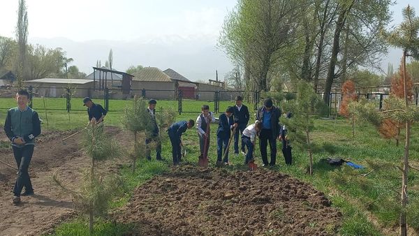 "Береке басы -бірлік" тақырыбында абаттандыру шаралары.