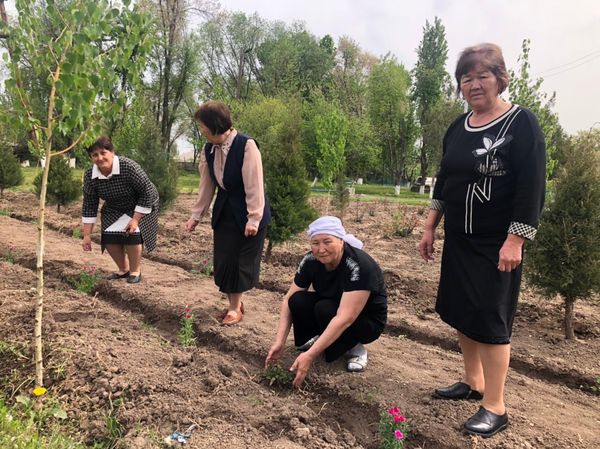 "Мектеп ауласын-бірге көркейтіп, көгалдандырайық" атты акция 2-4 мамыр аралығында мектебімізде зейнеткер ұстаздар аллеясы.